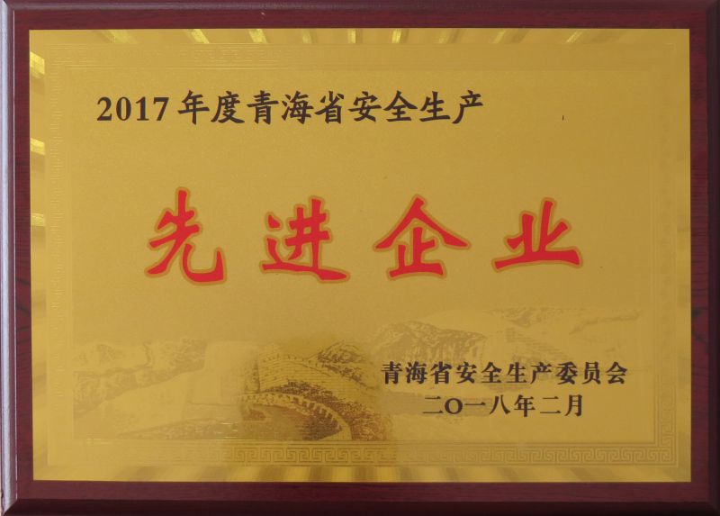 2017年度安全生产先进企业